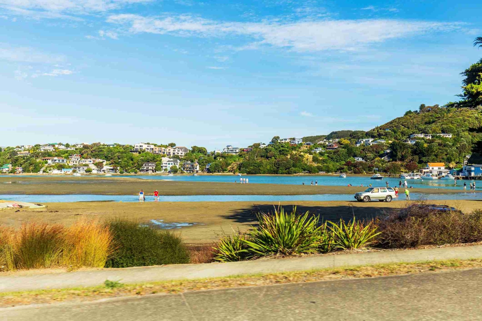 LANZ Dentist Porirua Region lanz-dentist-porirua-region