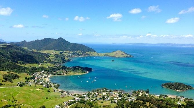 Dual scope role in Whangarei