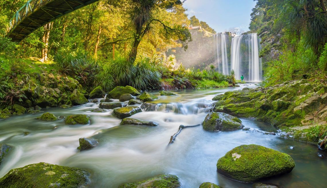 Dual scope role in Whangarei