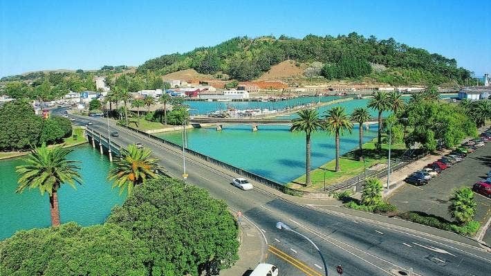 Orthodontist - Gisborne