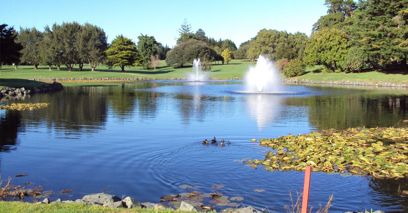 Dentist - Pukekohe, Auckland