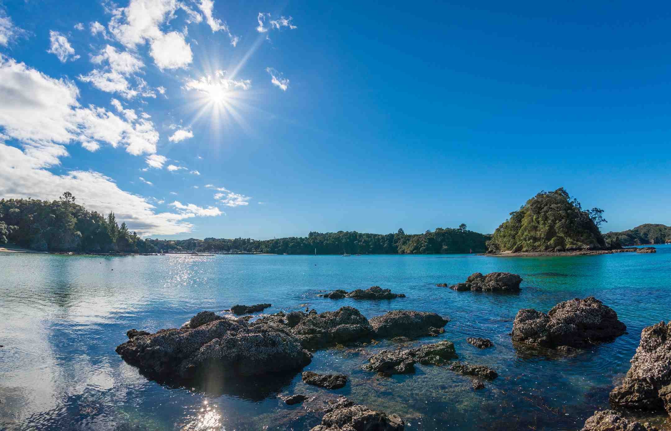 LANZ Dentist Hastings, Hawke's Bay