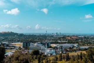 Dentist - Auckland, East Tamaki