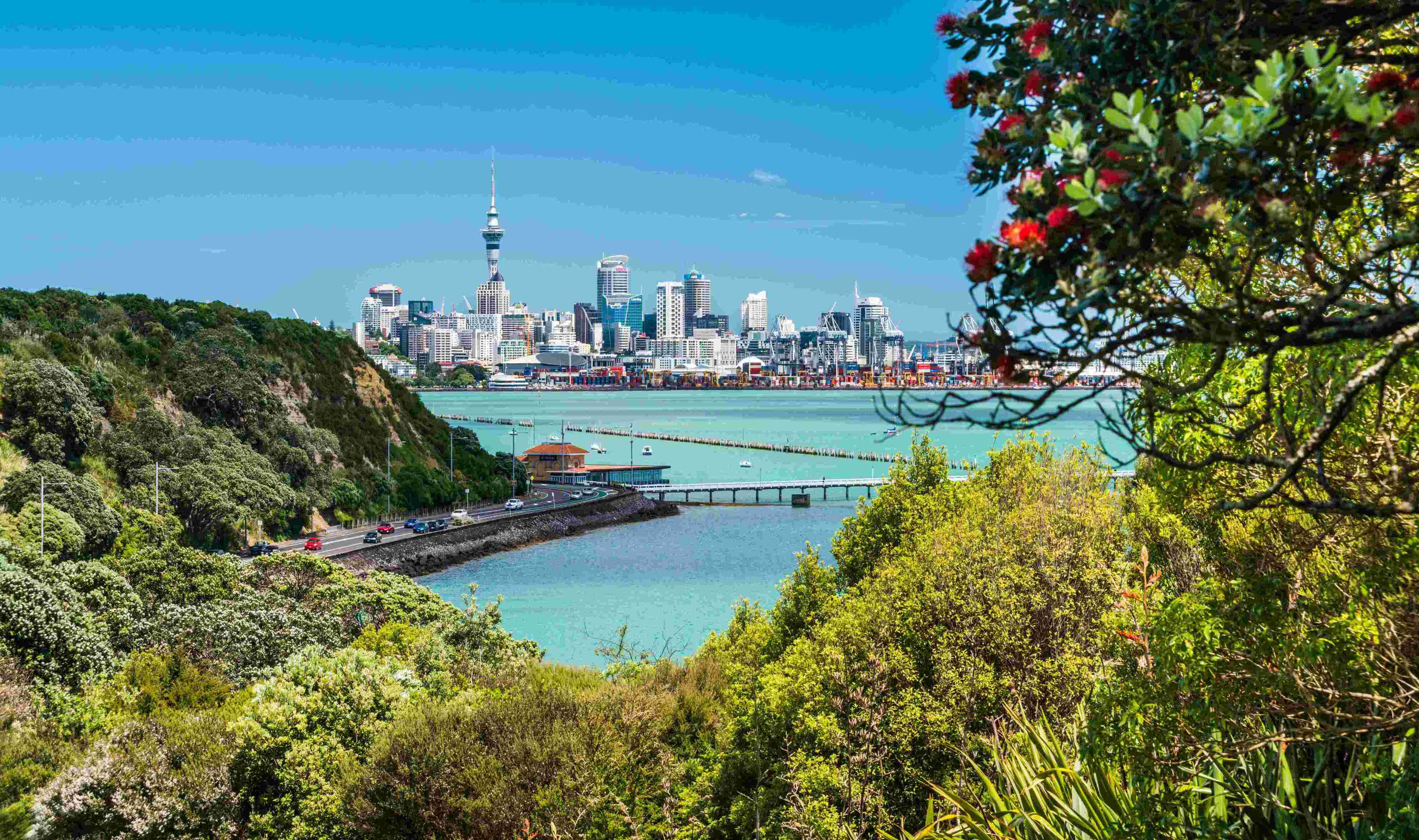 Dentist - Manukau, Auckland 3280139