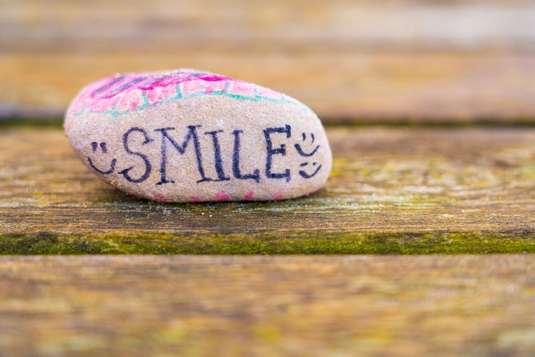 Hygienist/Oral Health Therapist - Te Awamutu 3311318