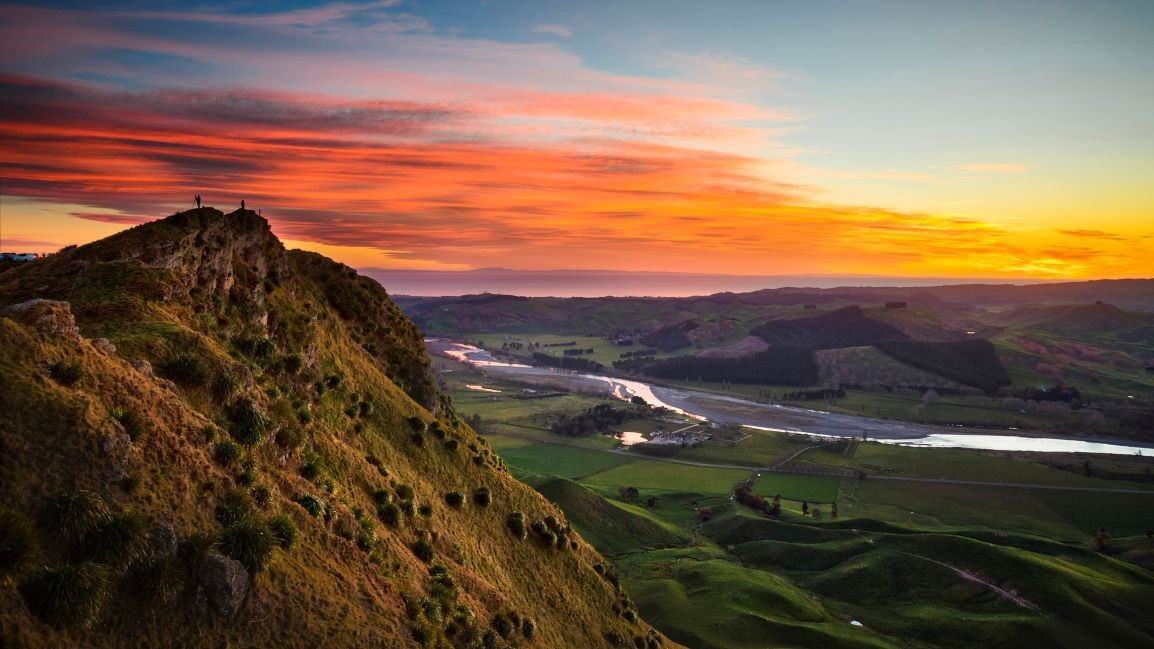 Dentist - Hawke's Bay 3349807