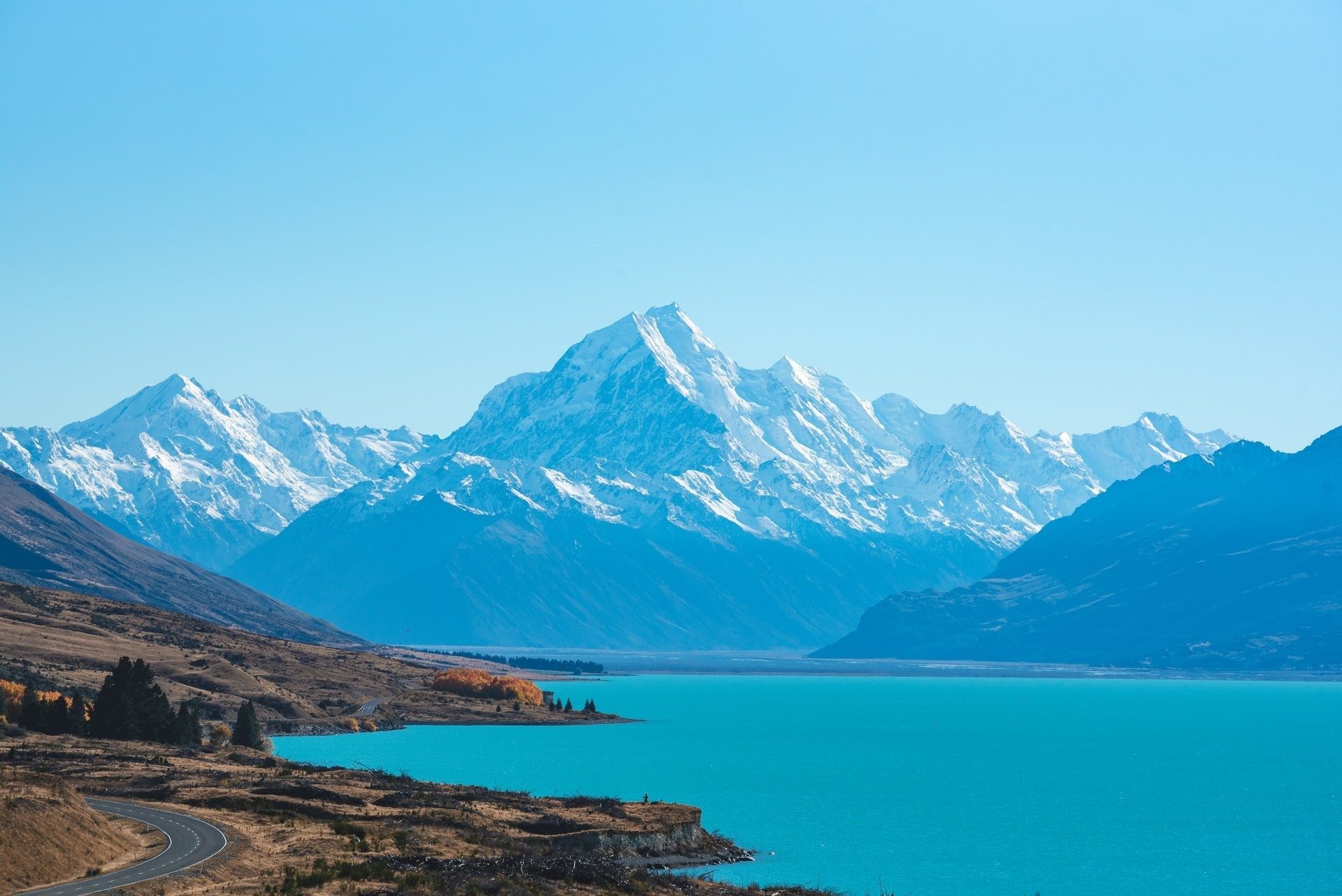 NZ Traveller Declaration
