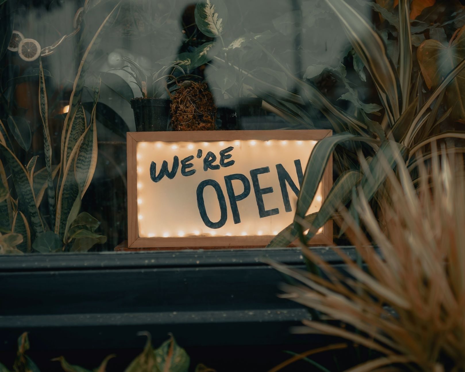 NZ Border reopening