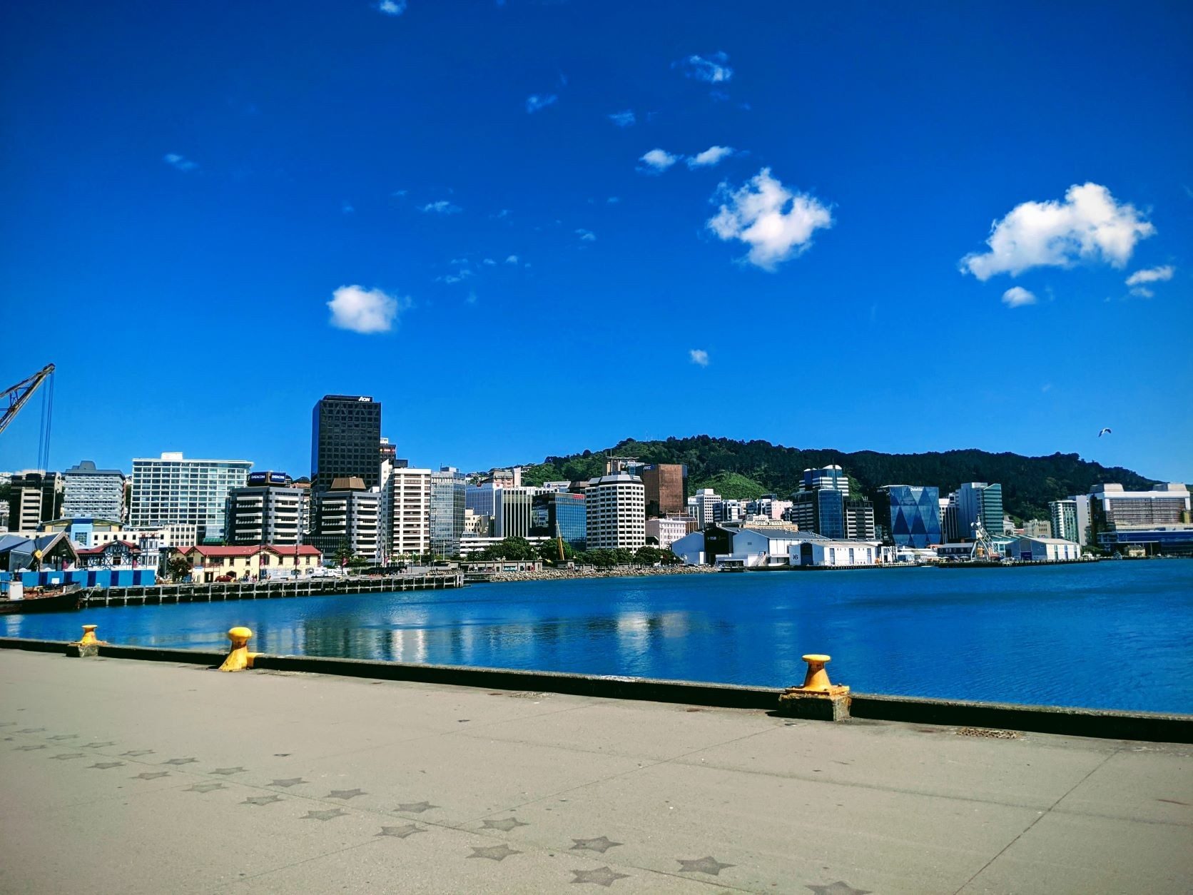 Dental Technician - Wellington