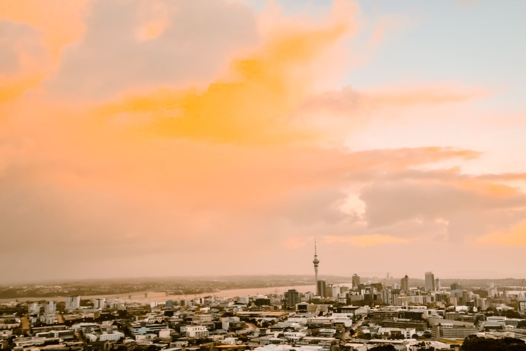 Dentist - Howick, Auckland 3462911
