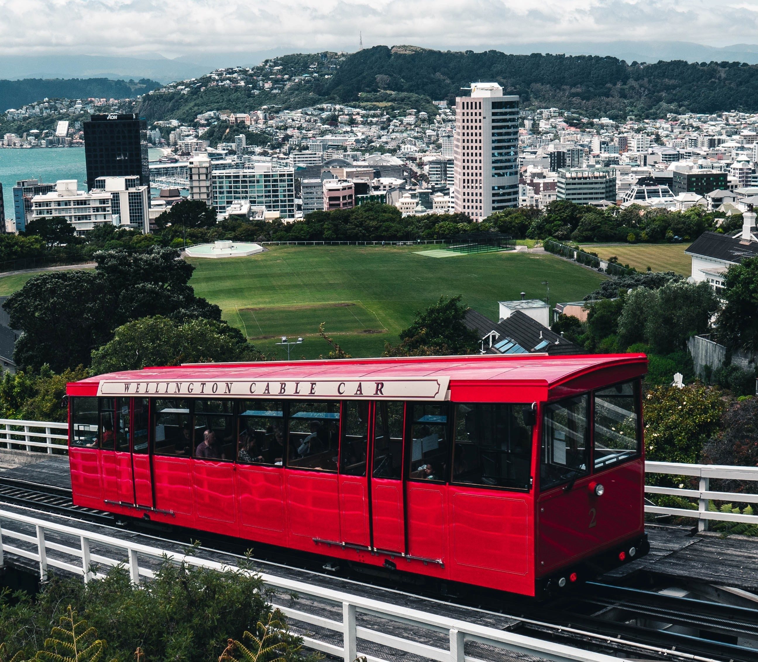 Orthodontist - Wellington