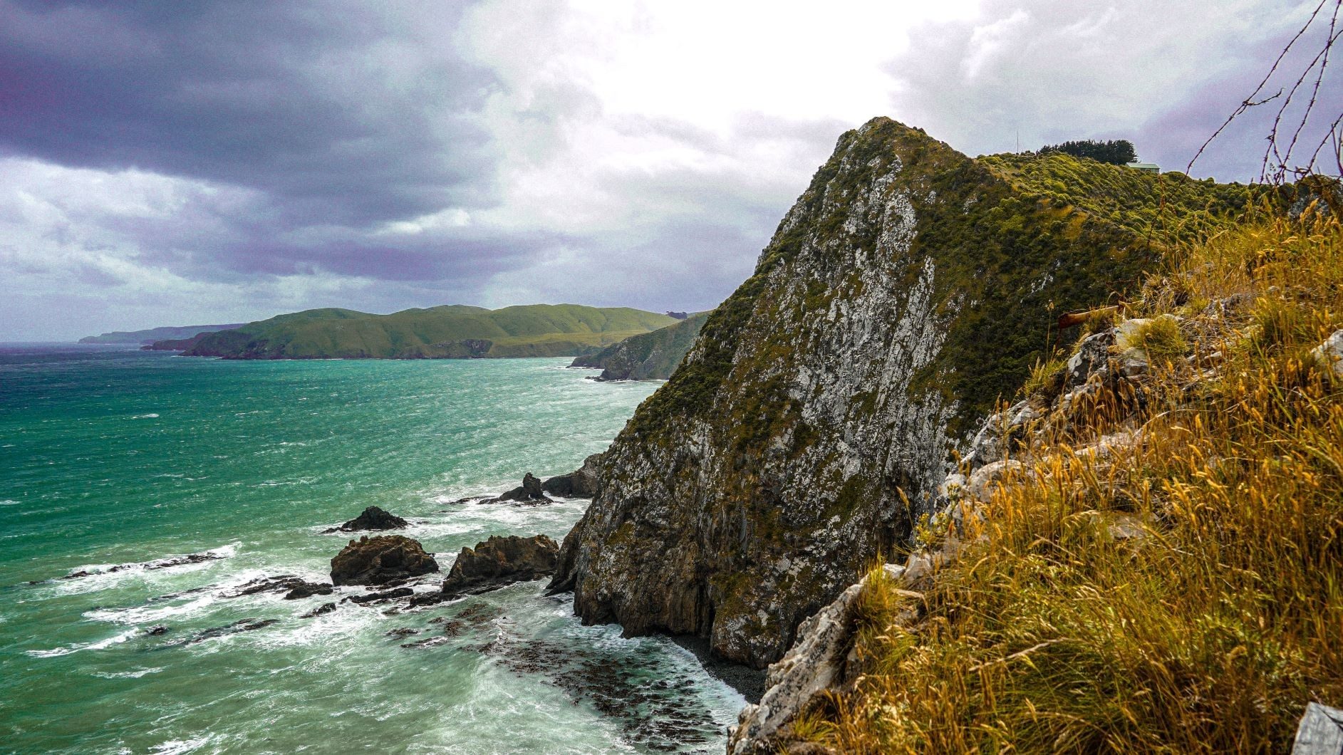 Dental Technician - Whangarei