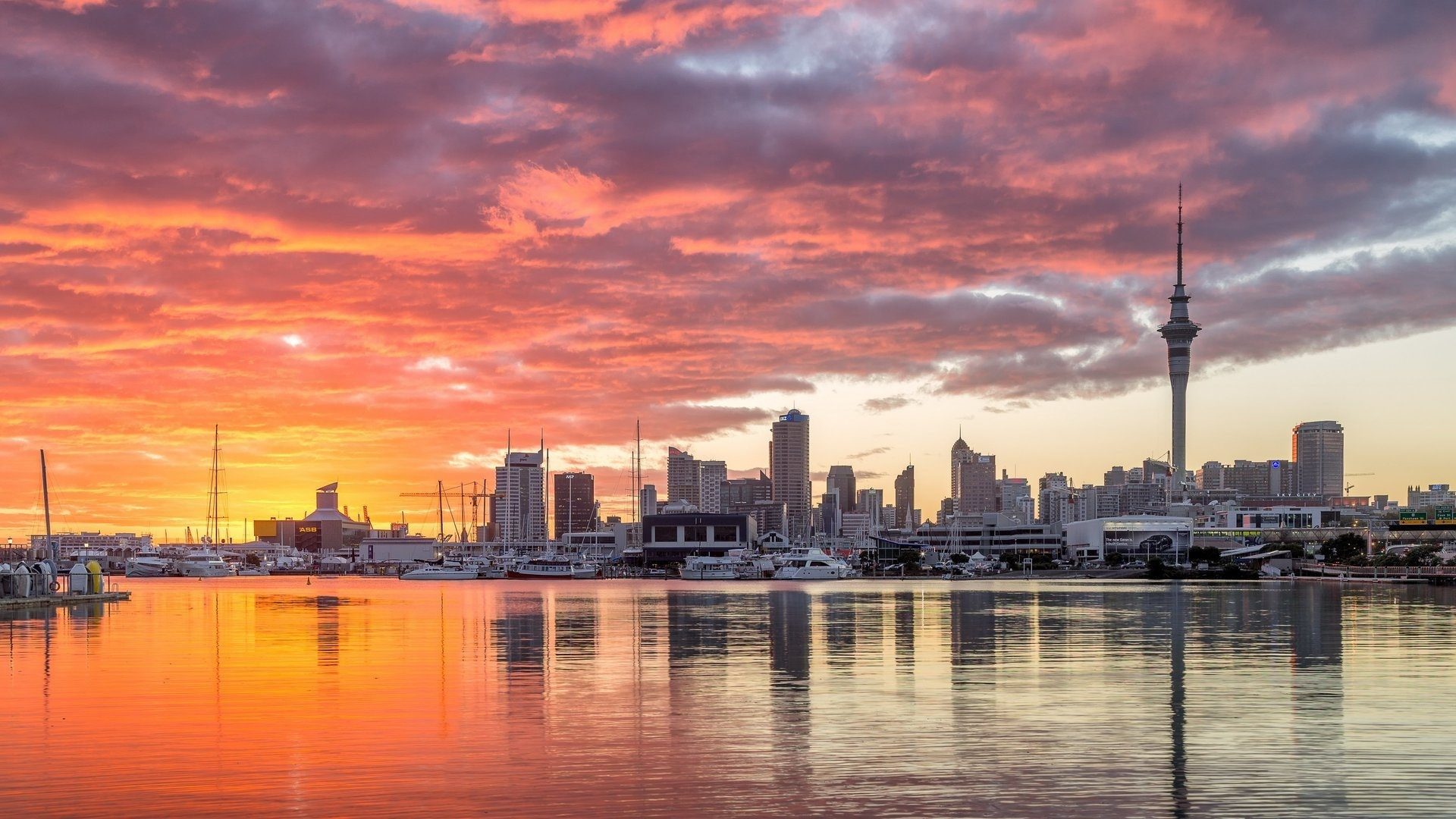 Dental Assistant - Ponsonby, Central Auckland
