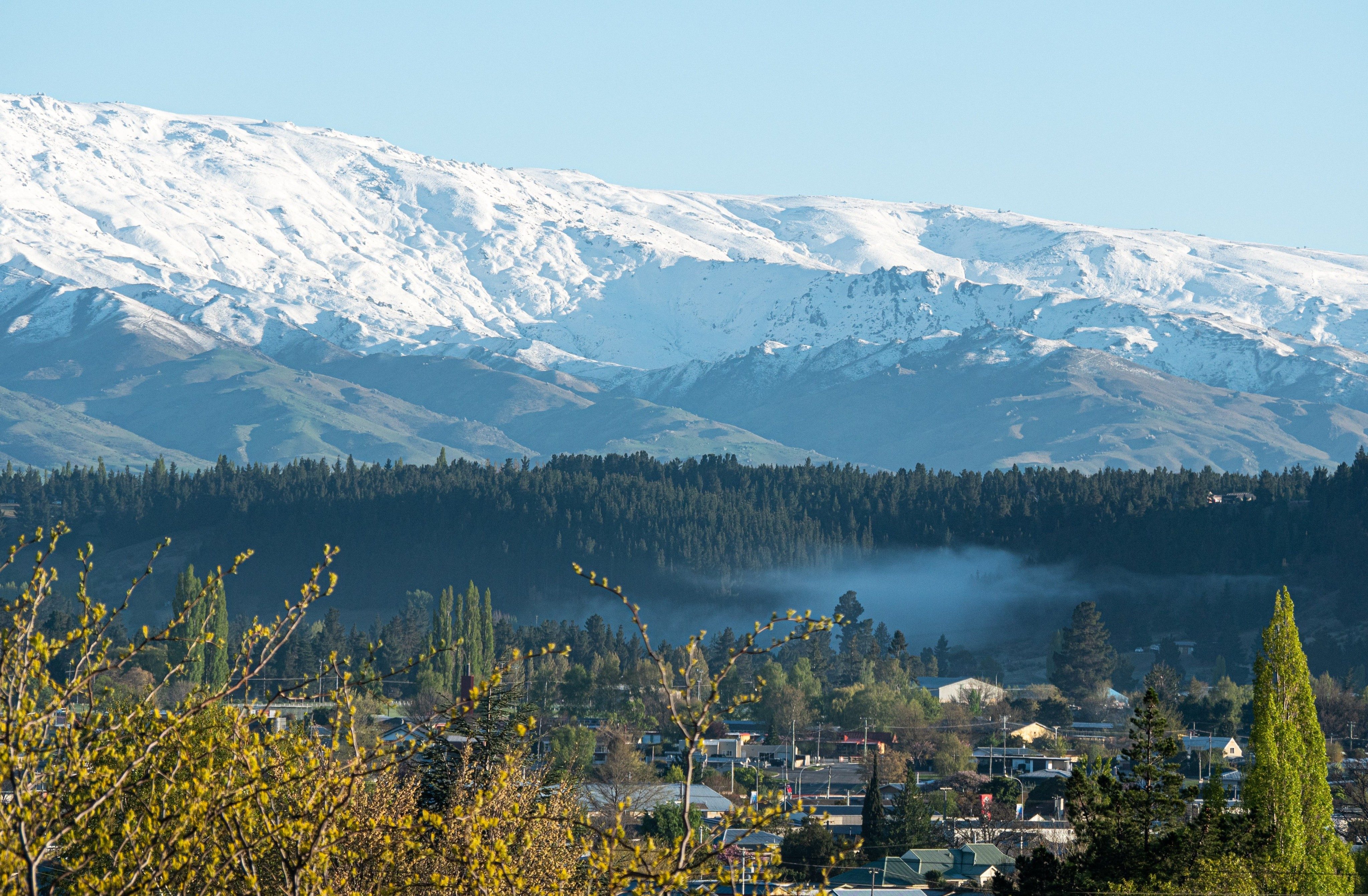 Dentist - Alexandra, Central Otago