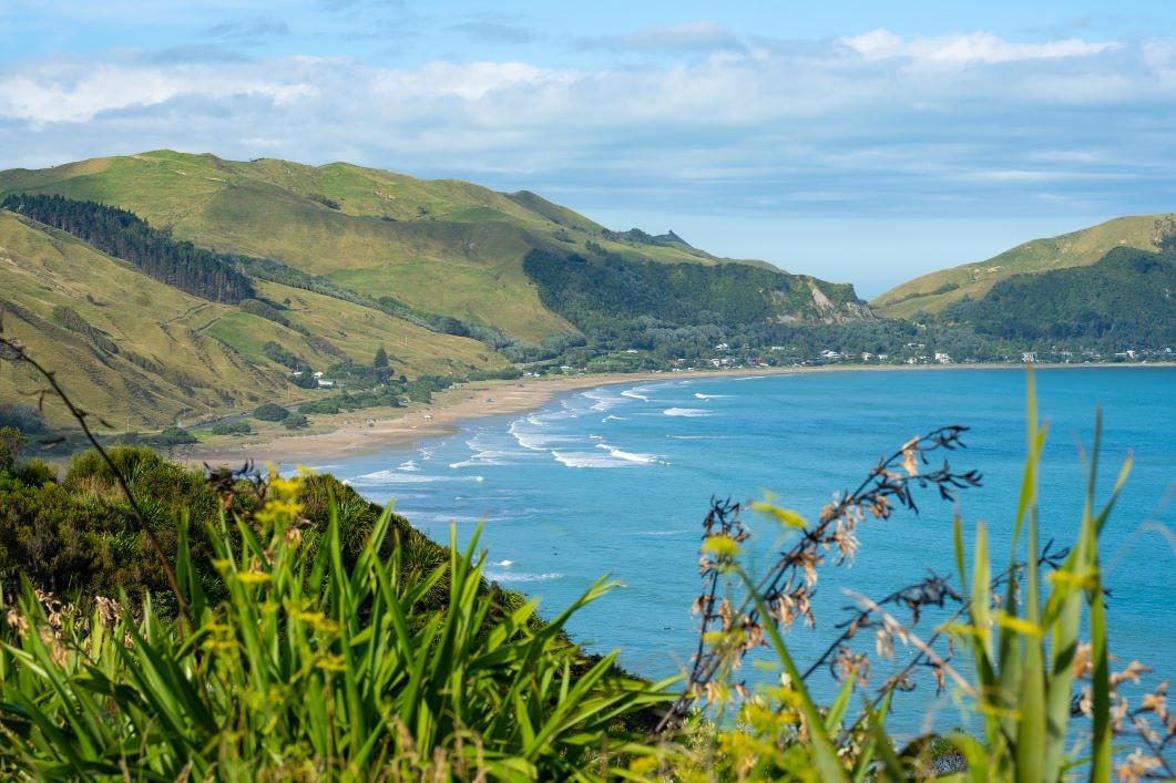 Dentist - Gisborne
