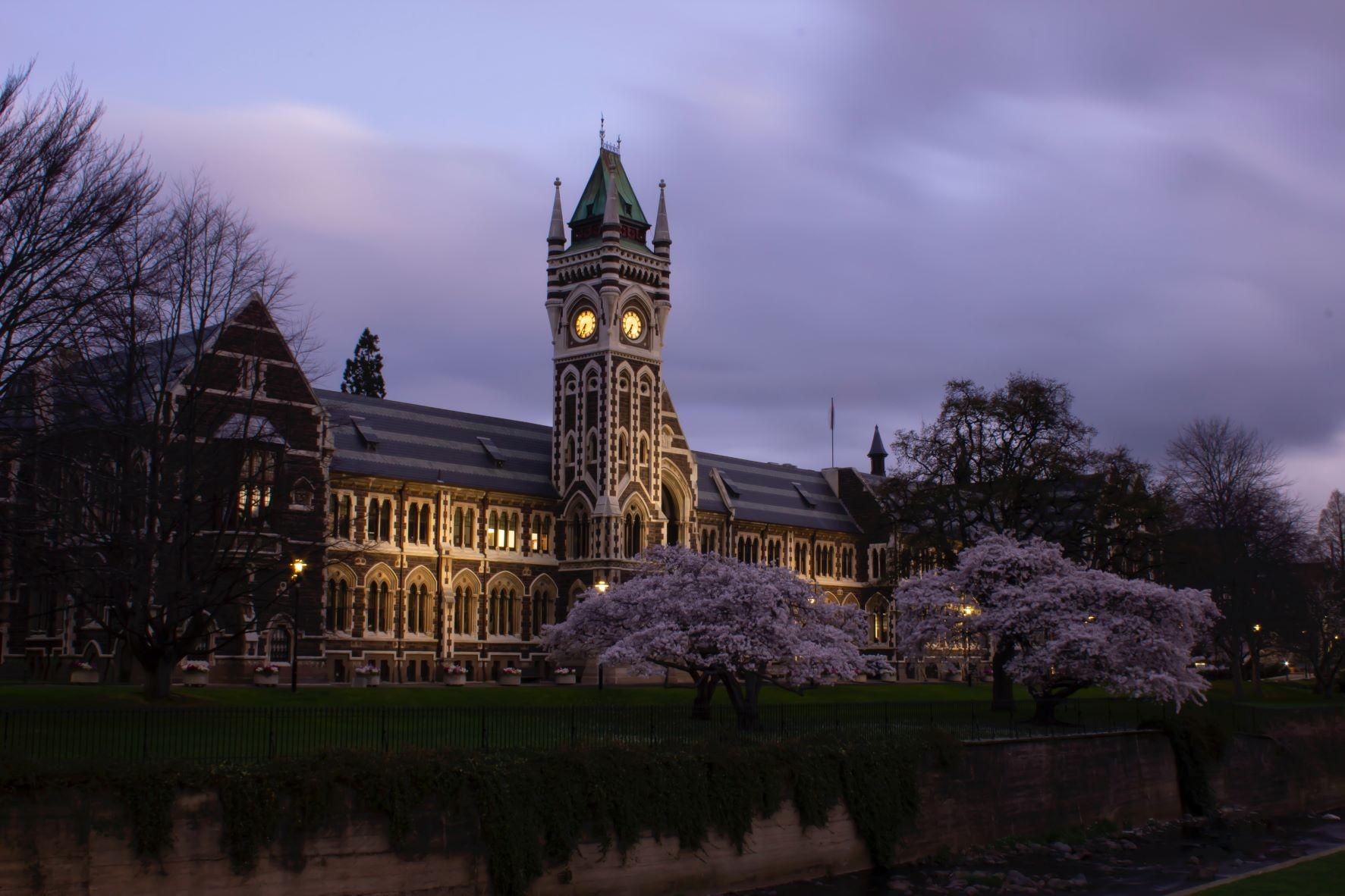 Dentists - Dunedin, Otago