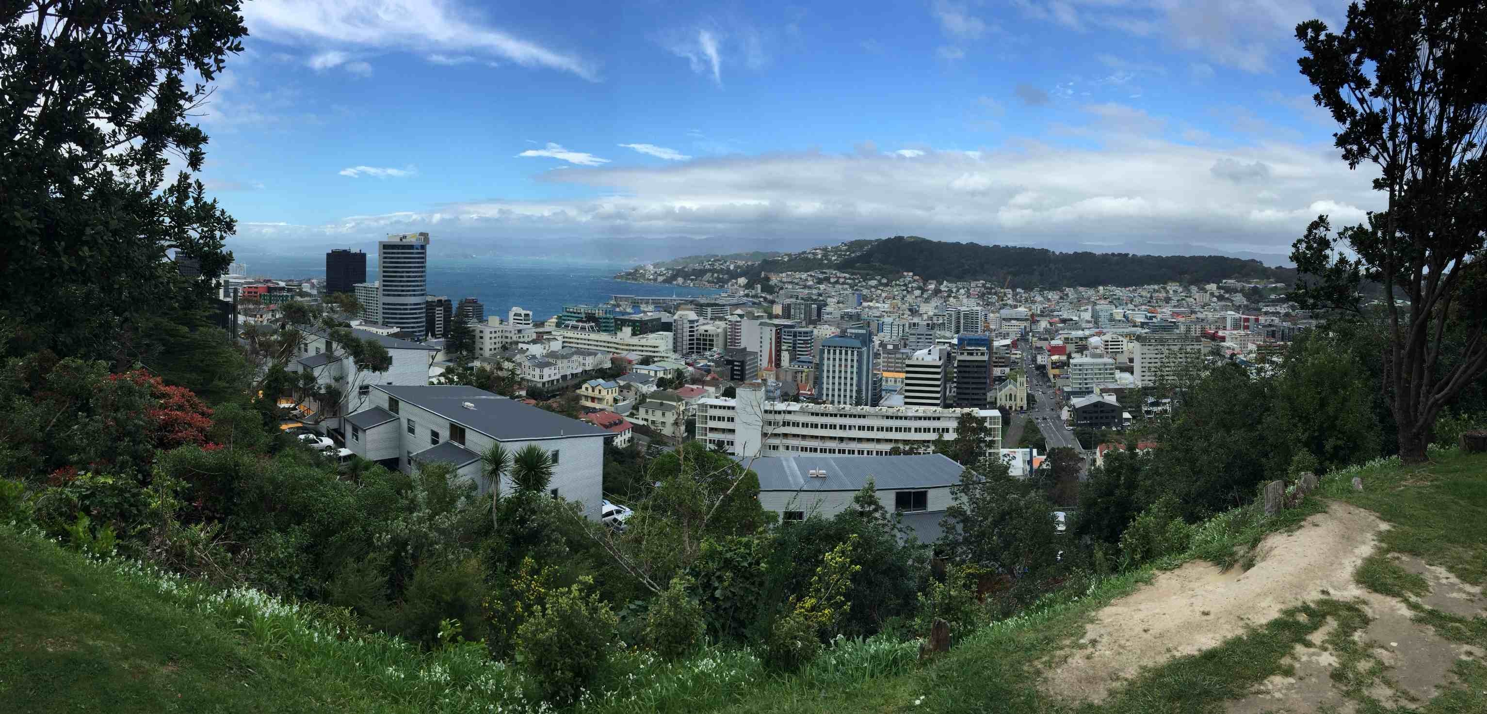 Hygienist/OHT - Wellington