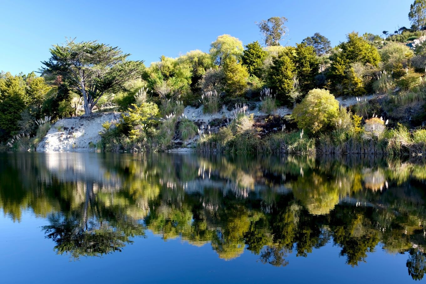 Dentist - Warkworth