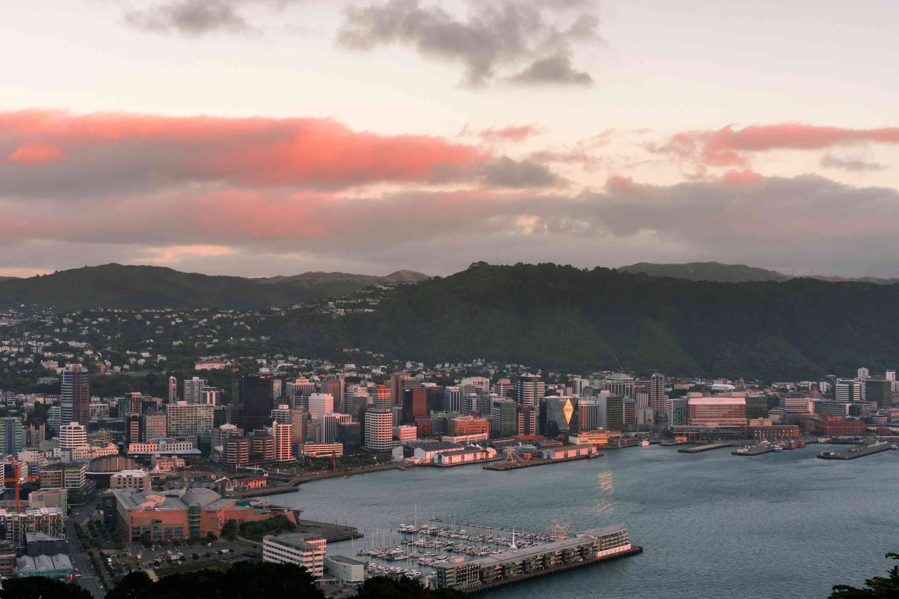 Dentist - Wellington