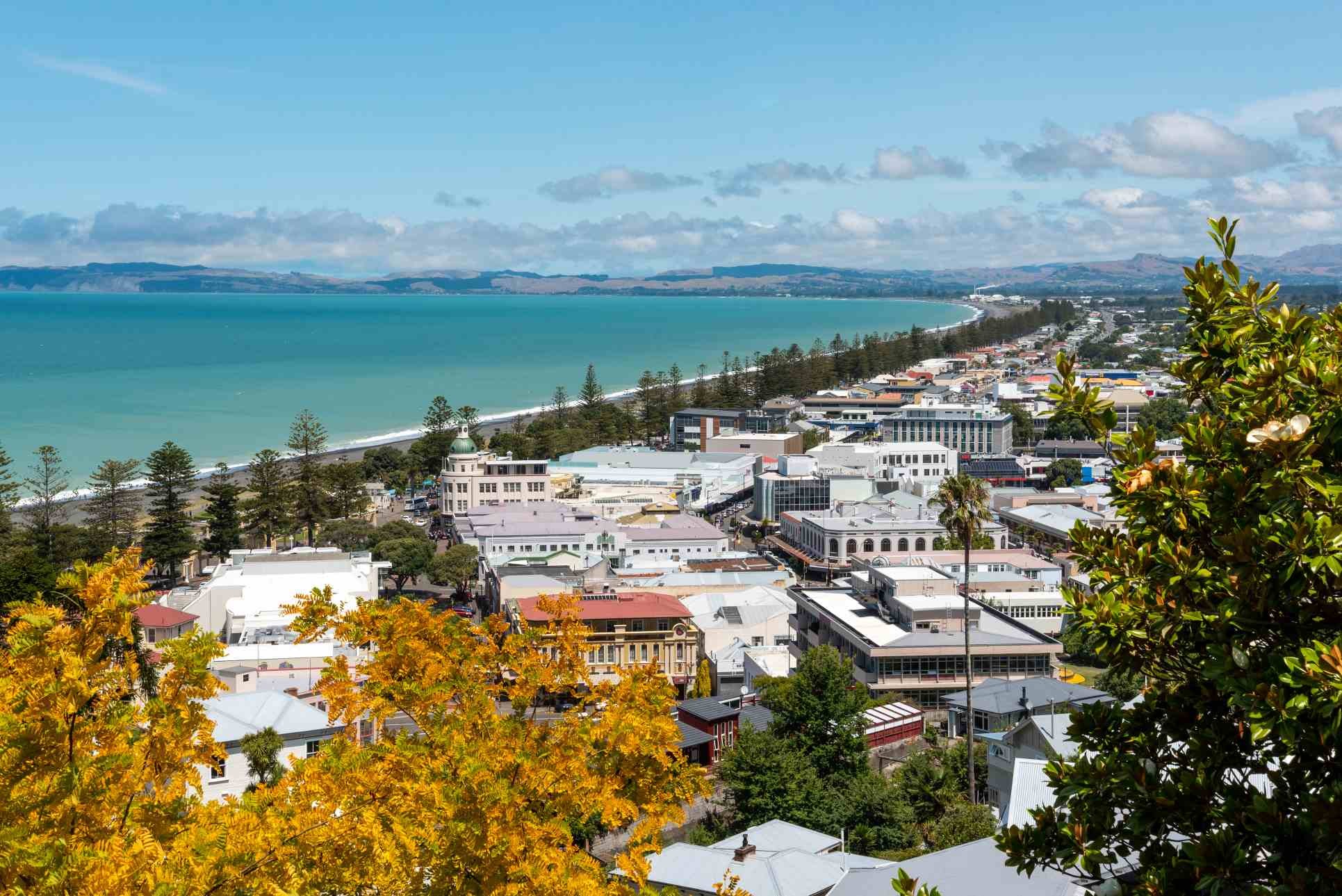 Dentist - Napier, Hawke's Bay