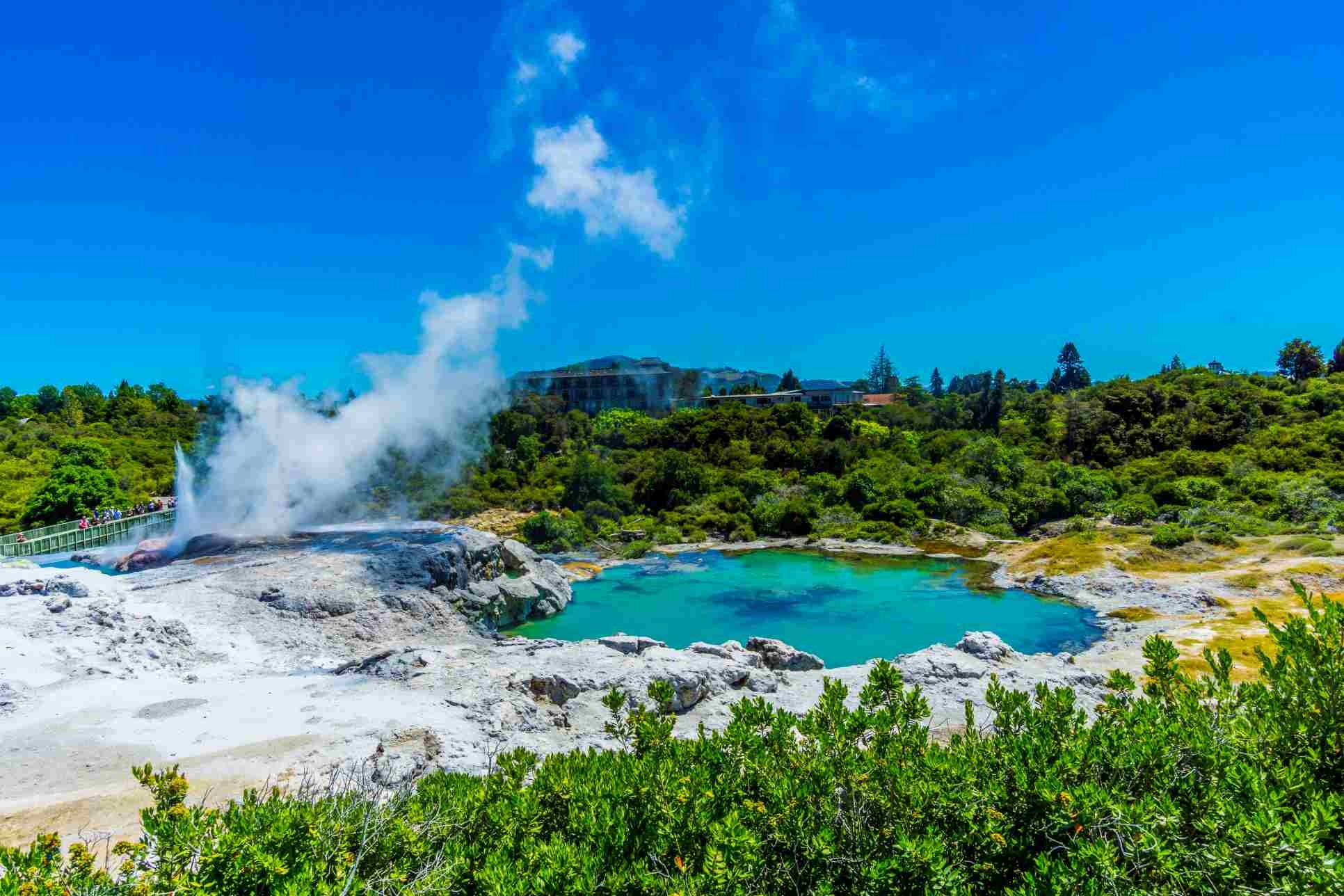 Dentist - Rotorua, Bay of Plenty