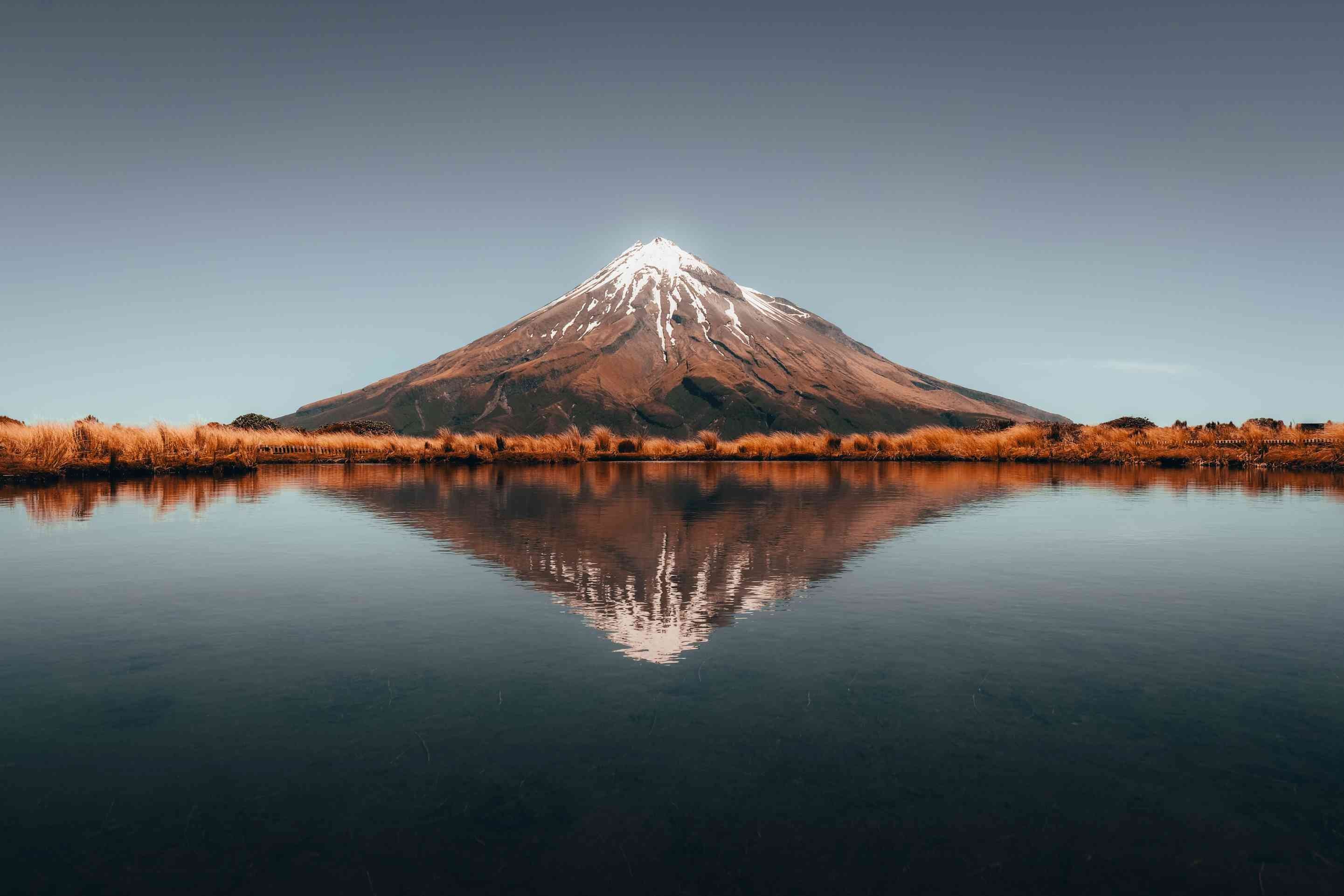 Dentist - Eltham, Taranaki