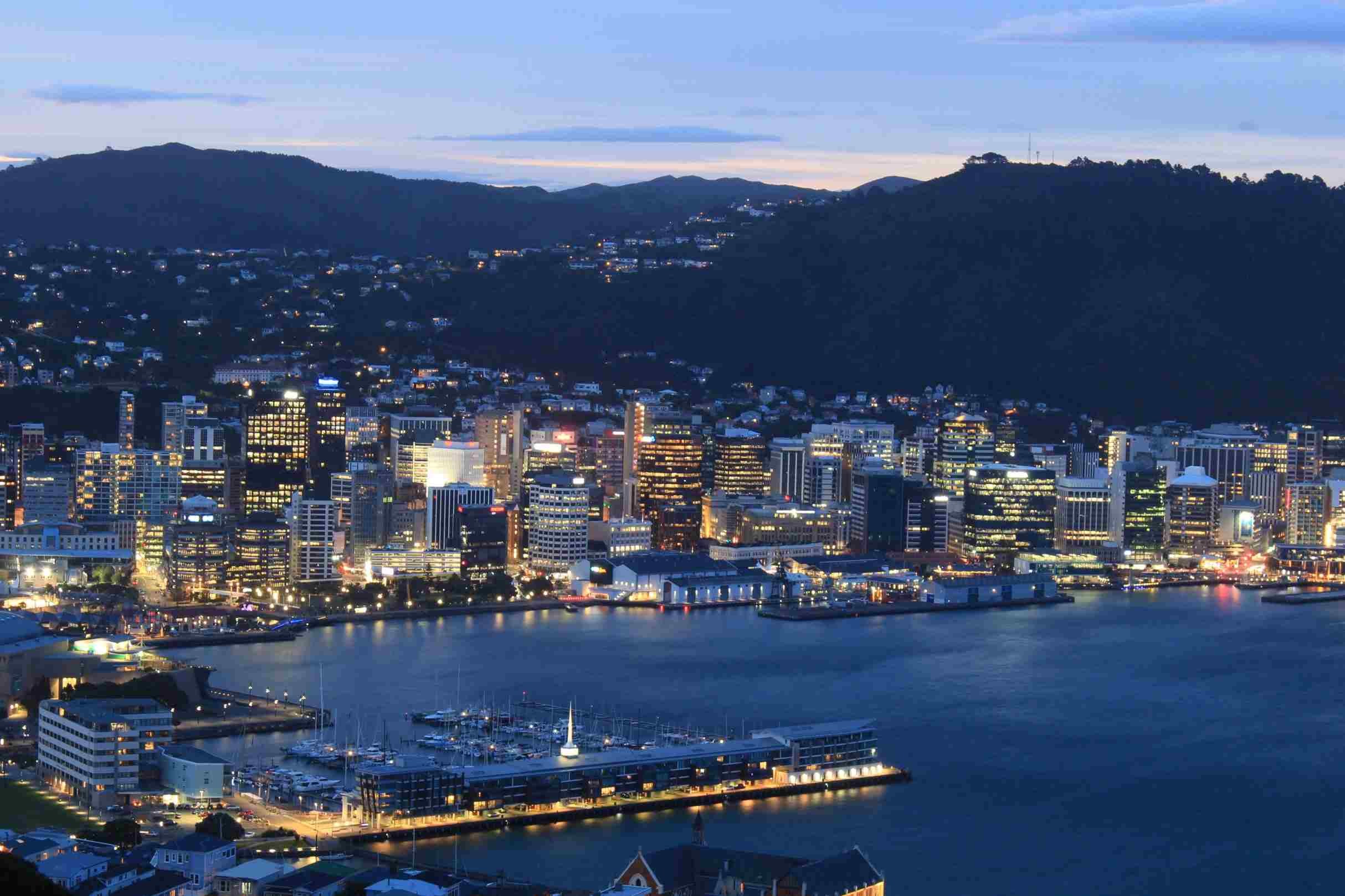 Dentist - Wellington & Lower Hutt 3731237