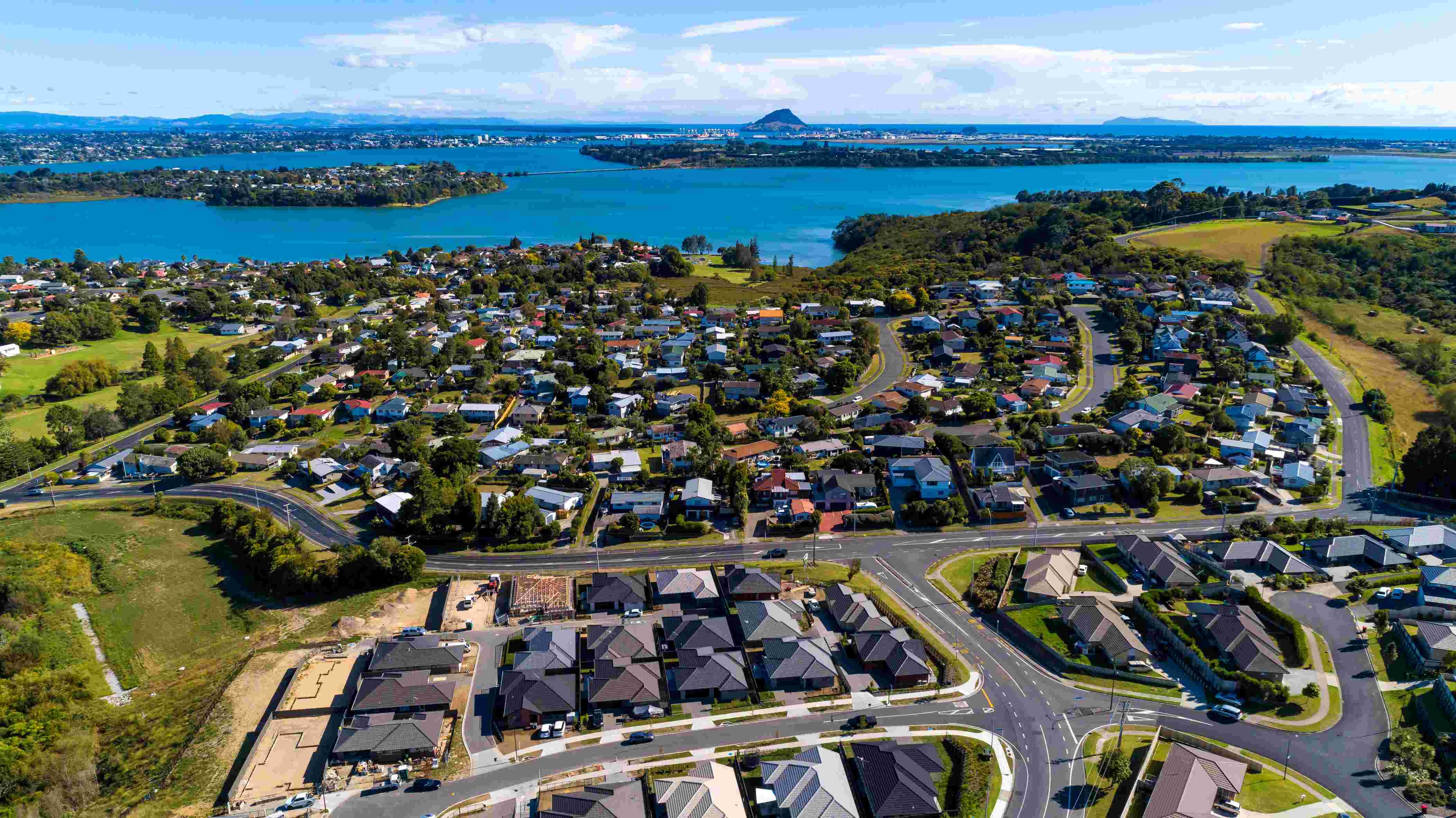 Dentist - Tauranga 3759954