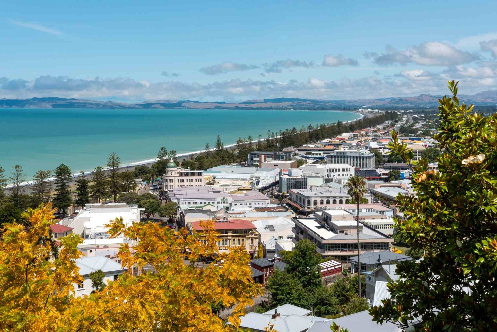 Dentist - Napier