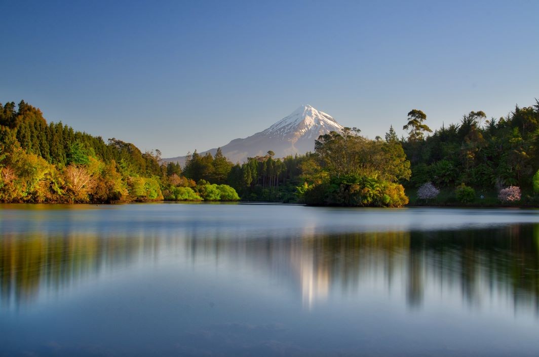 Dentist - New Plymouth 3860147