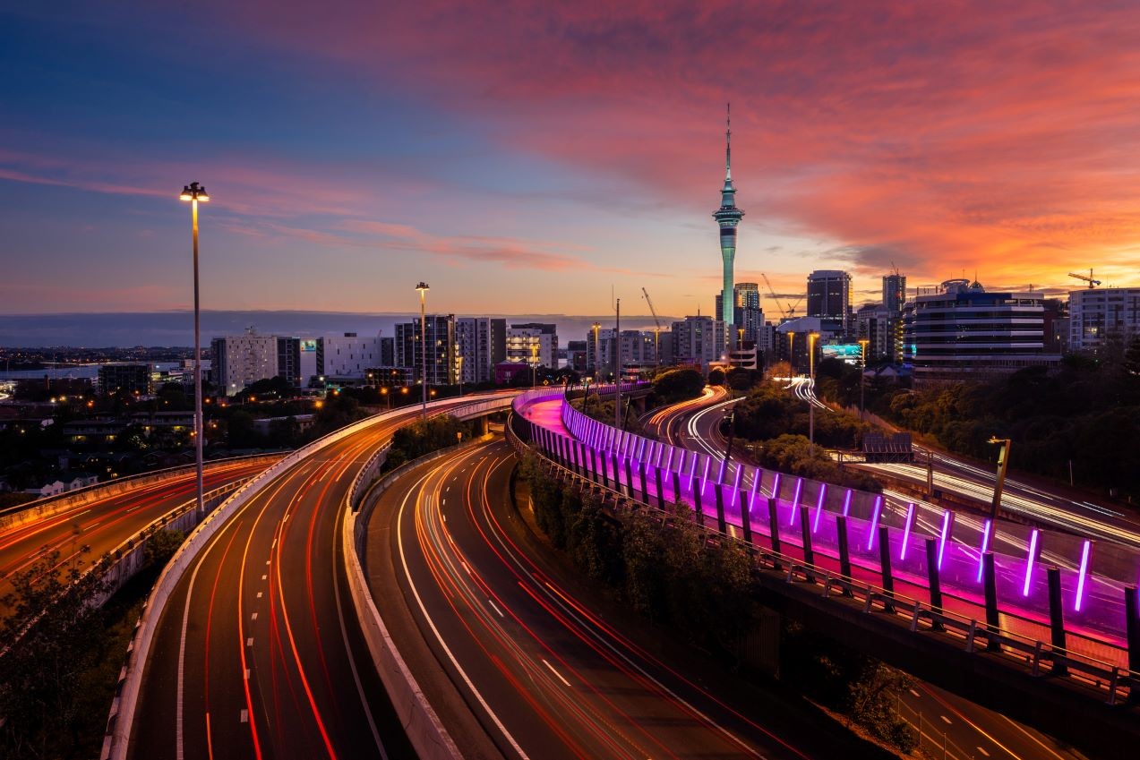 Dentist - Central Auckland 3699670