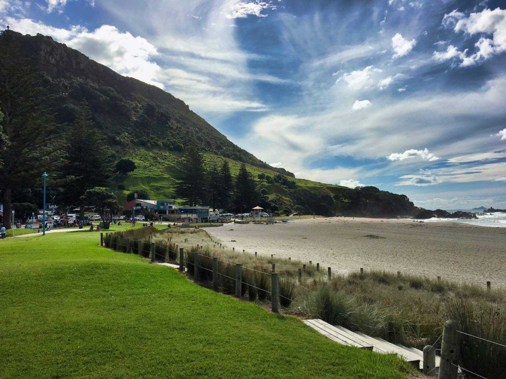 OHT/Hygienist - Tauranga 3910870