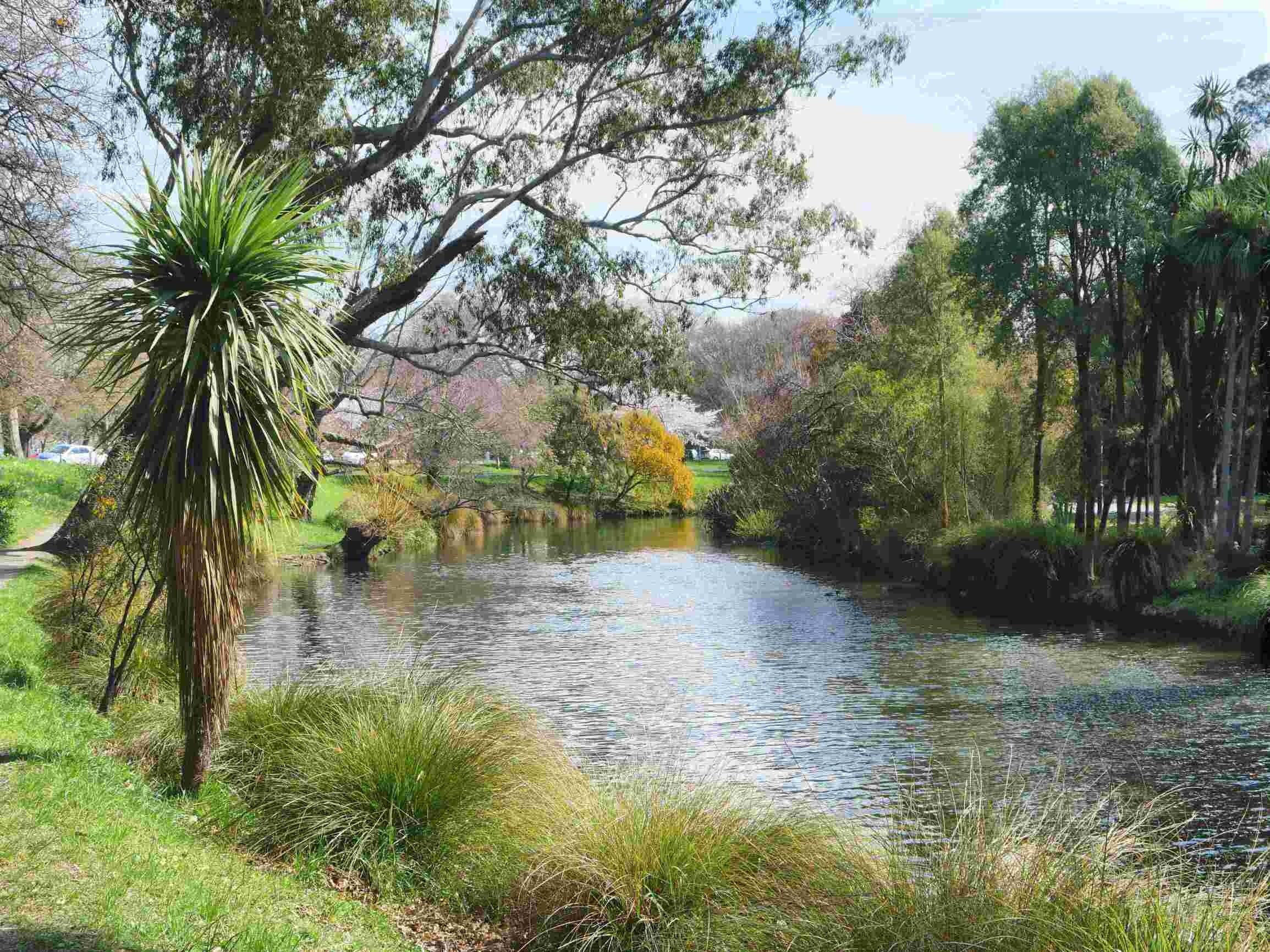 Clinical Dental Technician - Christchurch 3919544
