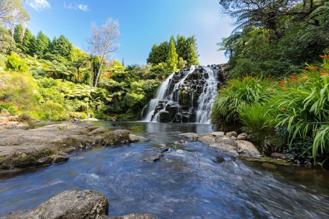 Turn key practice for sale in Paeroa