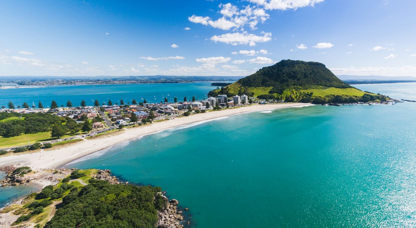 Dentist - Tauranga 3949933
