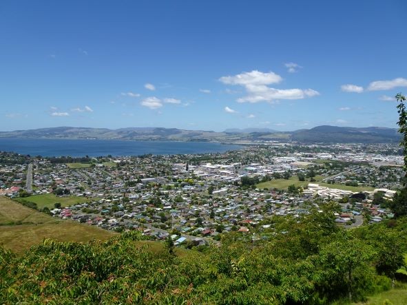 Dentist - Rotorua 3970511
