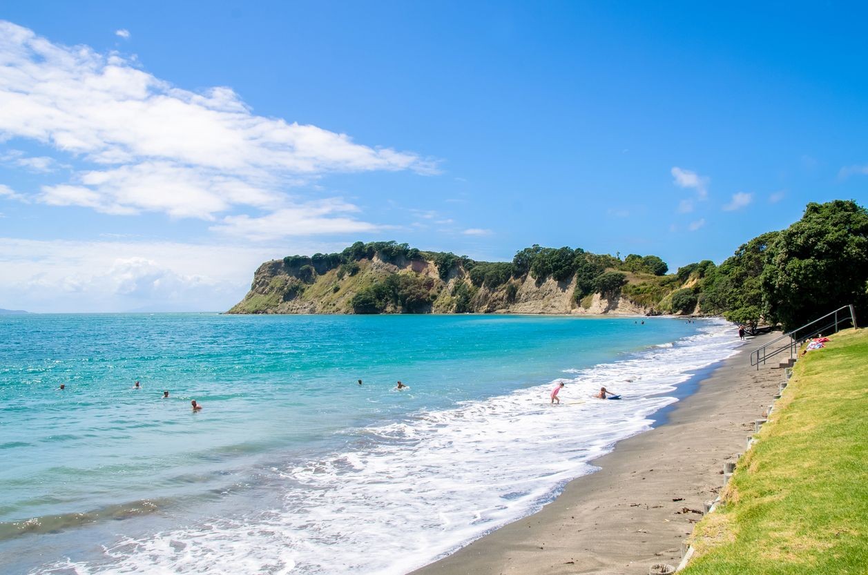 Dentist - Whangaparaoa