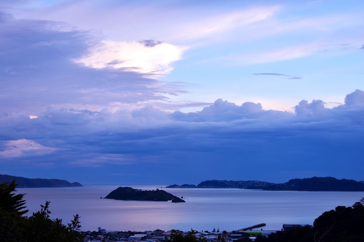 Dentist - Lower Hutt 3994582