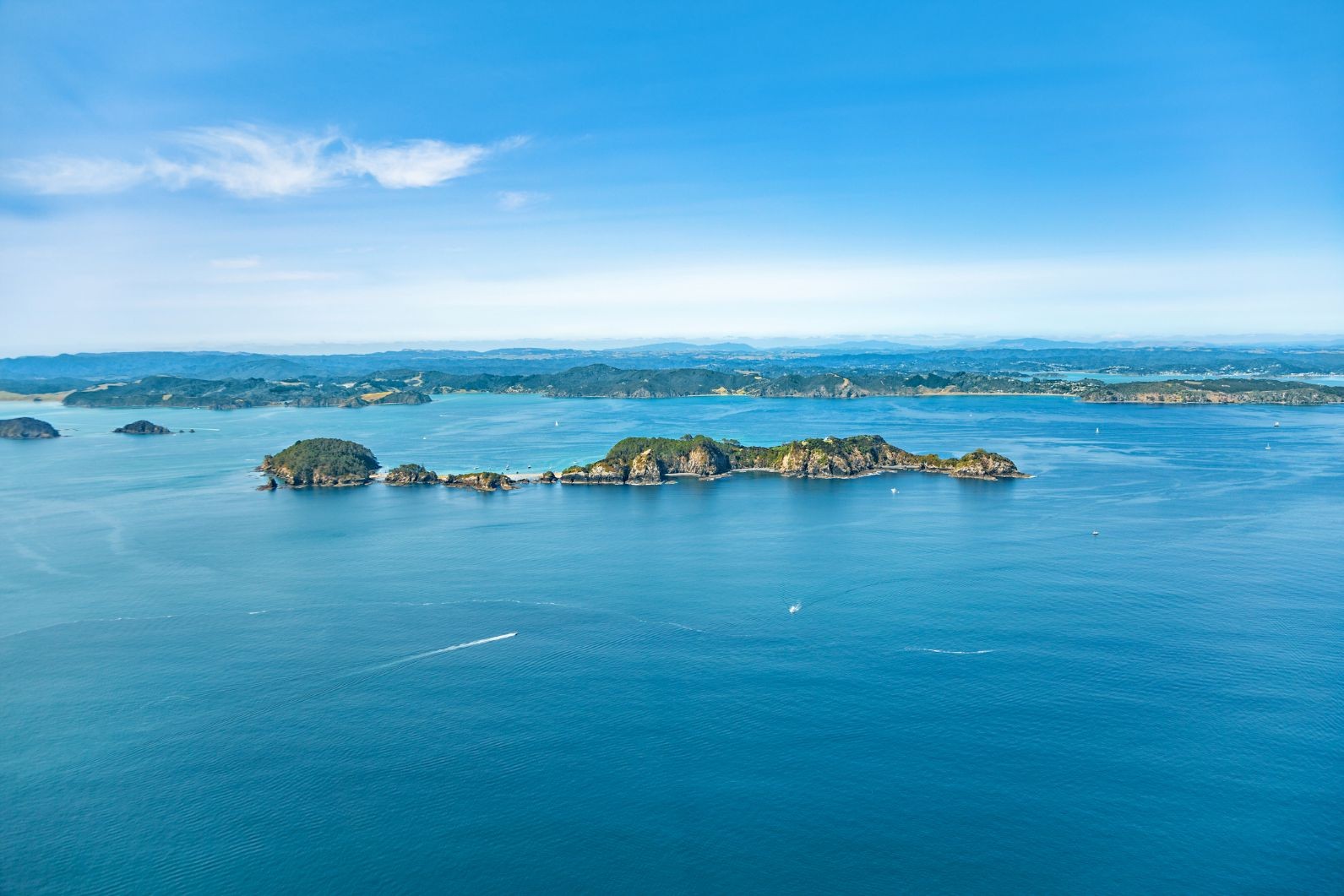 Dentist - Kerikeri 3999142