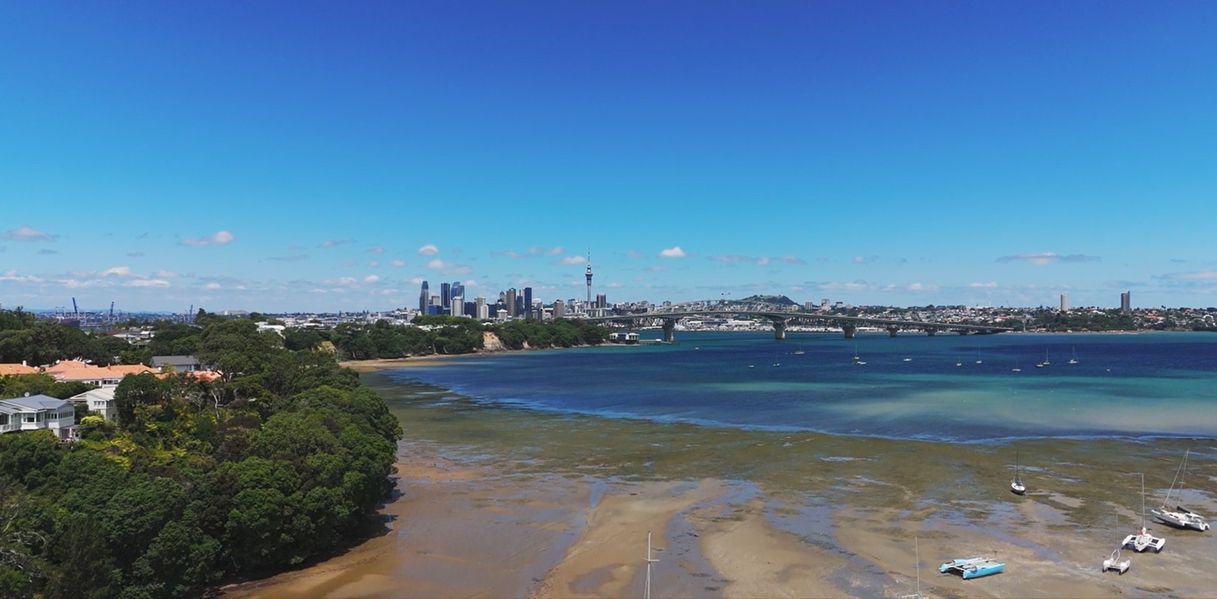 Dentist - Northcote 4002014