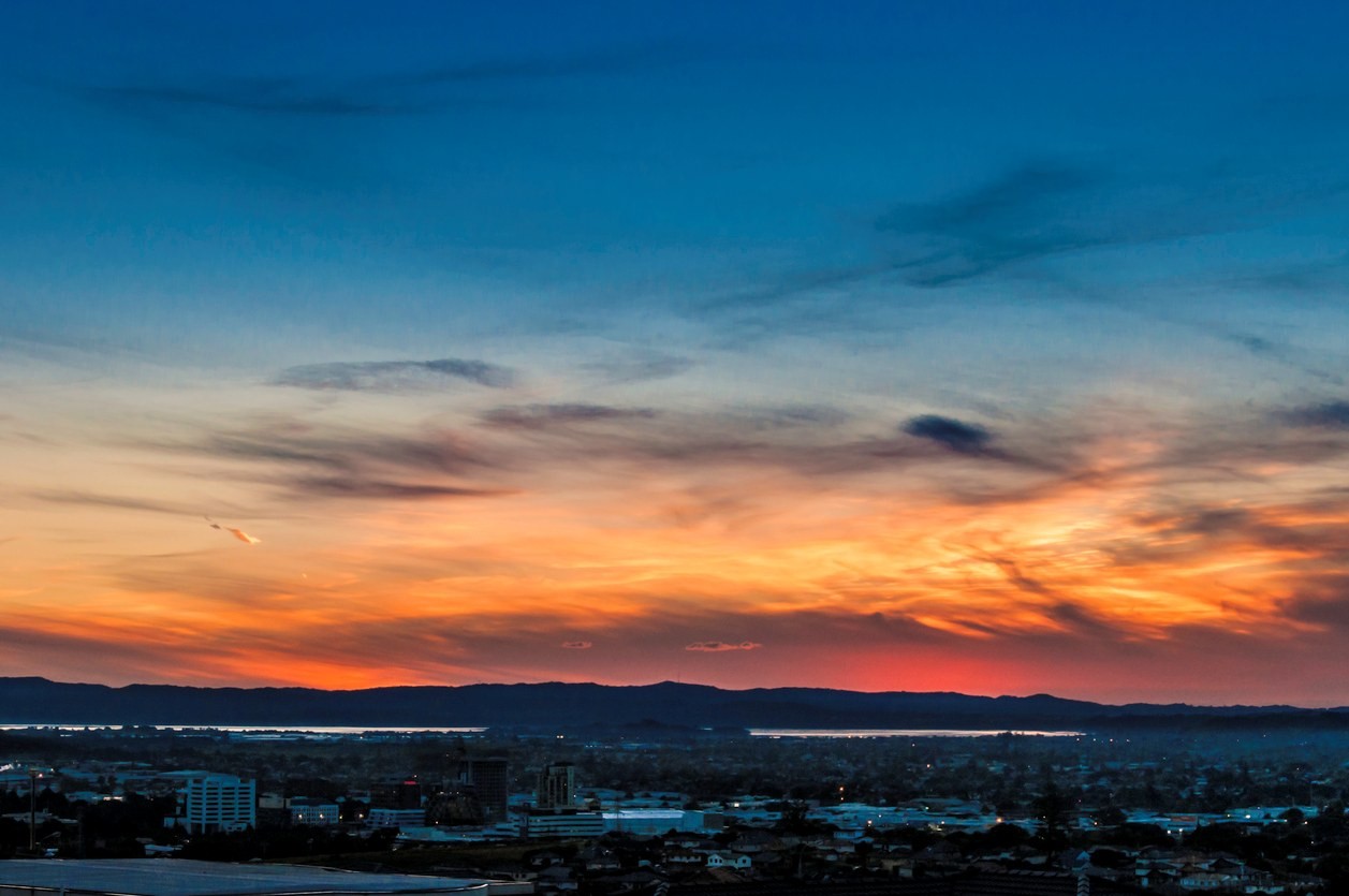 Dentist - South East Auckland