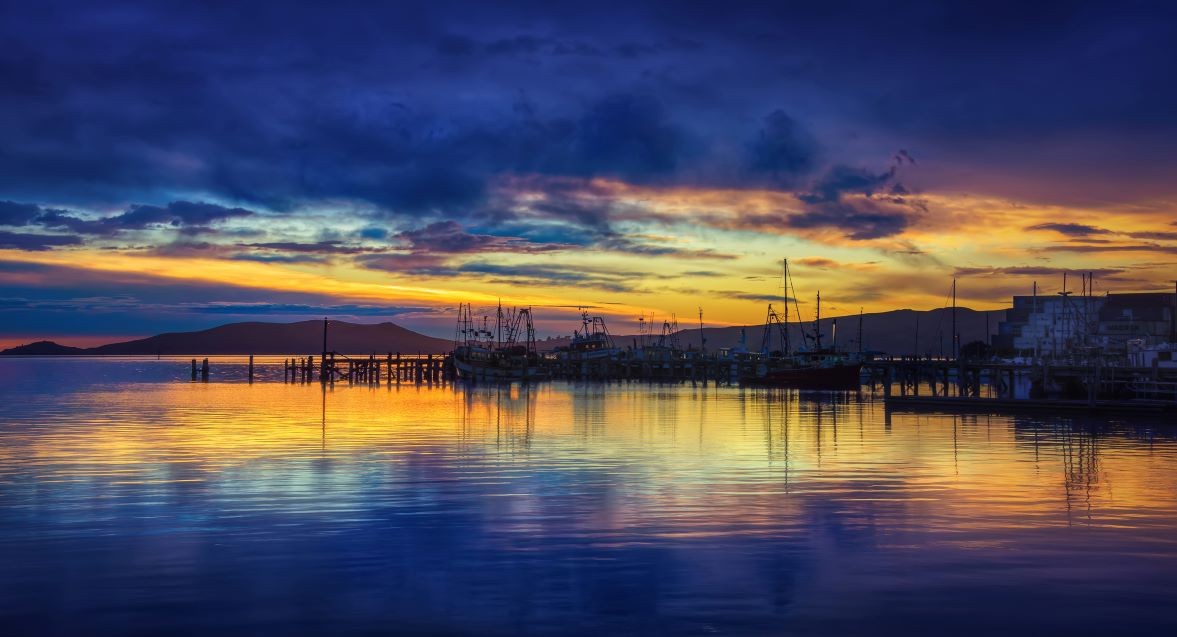 FOR SALE: 3 Surgery practice - Dunedin