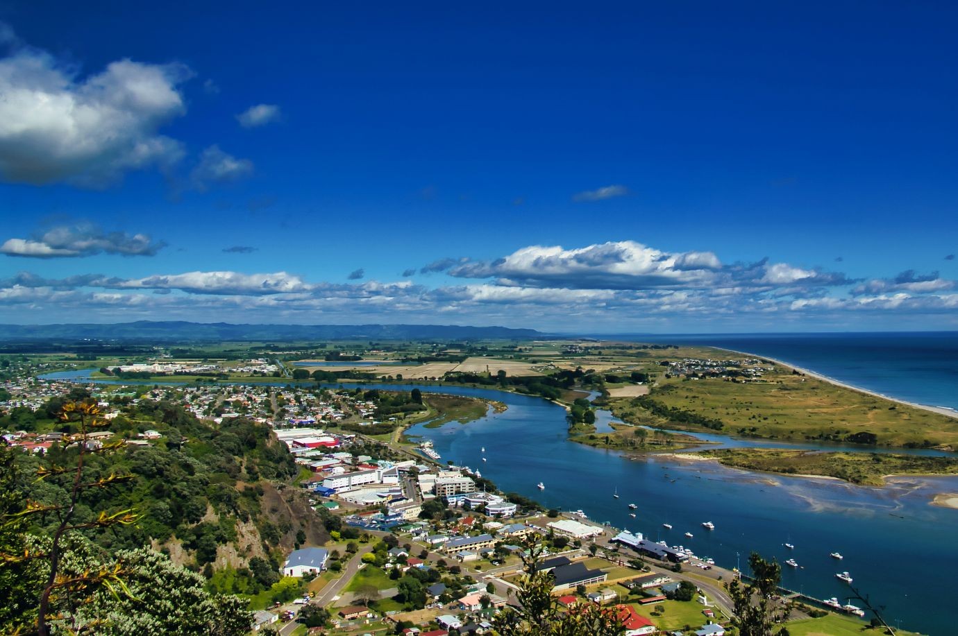 Dentist - Whakatane 4034016