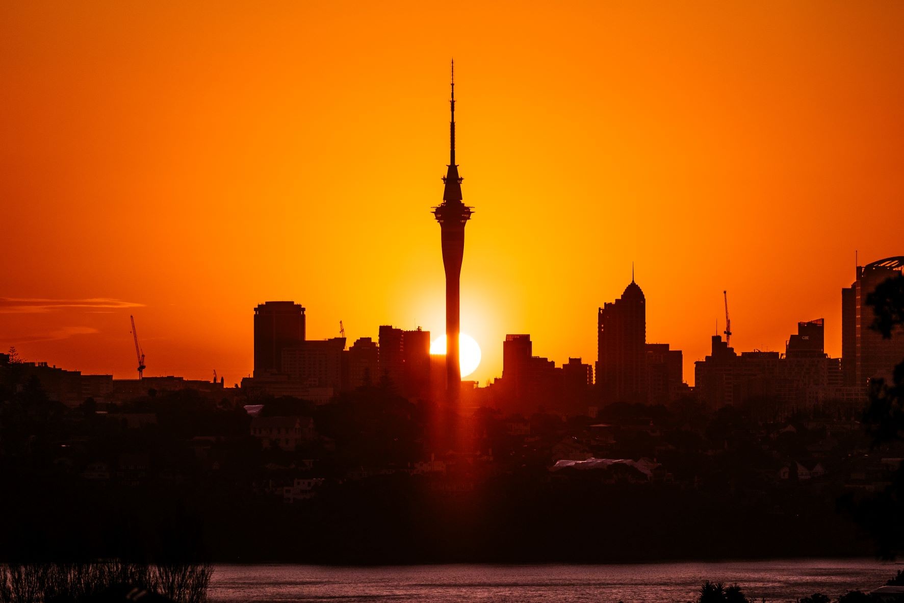 Dental Receptionist - Central Auckland 4035126