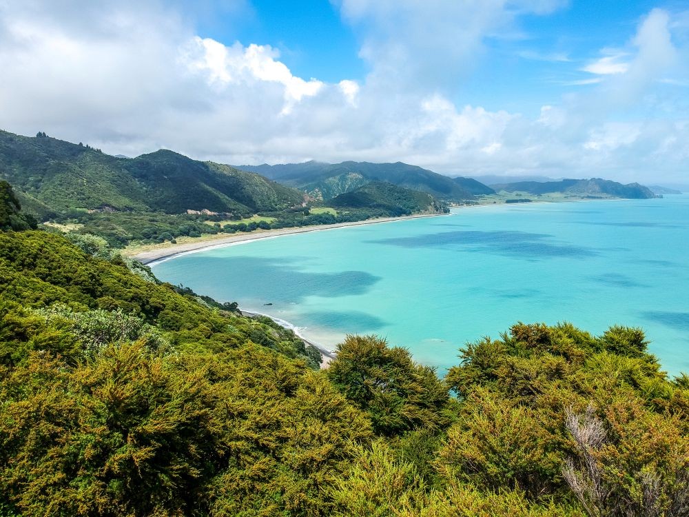 Clinical Dental Technician - Bay of Plenty
